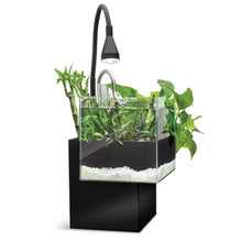 Load image into Gallery viewer, Aquarium équipé Fluval Kühl pour l’aménagement miniature et aquaponie, 8 L (2,1 gal US), noir
