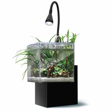 Load image into Gallery viewer, Aquarium équipé Fluval Kühl pour l’aménagement miniature et aquaponie, 8 L (2,1 gal US), noir
