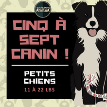 Charger l&#39;image dans la galerie, 5 à 7 - Frais d&#39;inscription à un regroupement par tailles de chien
