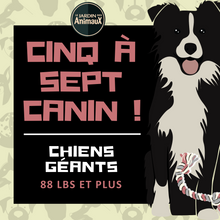 Charger l&#39;image dans la galerie, 5 à 7 - Frais d&#39;inscription à un regroupement par tailles de chien
