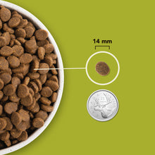 Charger l&#39;image dans la galerie, ACANA Chien Grasslands Haut en Protéines
