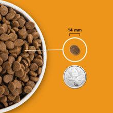 Charger l&#39;image dans la galerie, ACANA Chien Wild Prairie Haut en Protéines
