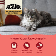 Charger l&#39;image dans la galerie, ACANA Chat Plus Forte Teneur En Protéines, Chat d&#39;intérieur
