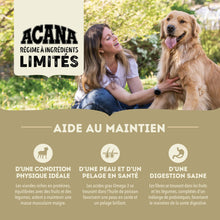 Charger l&#39;image dans la galerie, ACANA Chien Simple Recette De Canard avec Poire
