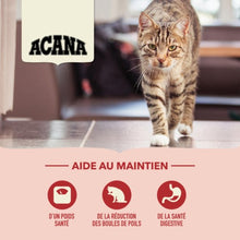Load image into Gallery viewer, ACANA Chat Régal d’intérieur
