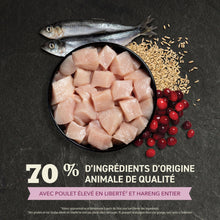 Charger l&#39;image dans la galerie, ACANA Chaton Premier festin
