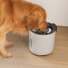 Charger l&#39;image dans la galerie, Abreuvoir Zeus Oasis - Gris pâle
