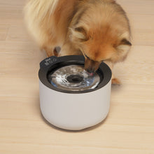 Charger l&#39;image dans la galerie, Abreuvoir intelligent Zeus Oasis Plus - Gris pâle
