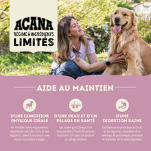 Charger l&#39;image dans la galerie, ACANA Chien Simple Recette D&#39;Agneau Avec Pomme
