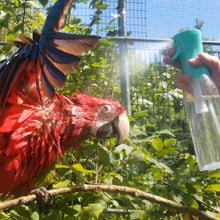 Charger l&#39;image dans la galerie, Brumisateur HARI de plumes - Contenance de 500 ml - Turquoise
