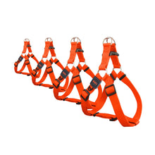 Charger l'image dans la galerie, Bud'z Harnais ajustable en nylon pour chien - Orange néon
