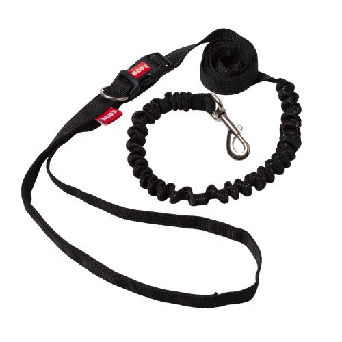Bud'z Laisse du coureur avec bandes réfléchissantes - Noire