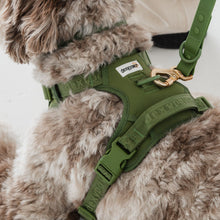 Charger l'image dans la galerie, Dexypaws Harnais sans traction pour chien - Vert Camouflage
