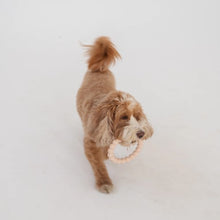 Charger l&#39;image dans la galerie, Dexypaws Jouet à mâcher durable pour chien - Duo d&#39;anneaux, Beige &amp; noir
