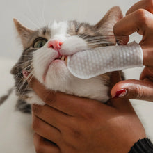 Load image into Gallery viewer, Dexypaws Lingettes doigt pour chat - Soins Dentaires - Sans parfum - Paquet de 100
