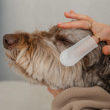 Charger l&#39;image dans la galerie, Dexypaws Lingettes doigt pour chien - Soins des yeux, oreilles &amp; nez - Sans parfum
