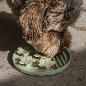 Dexypaws Tapis de léchage en silicone "Cache-cache" à alimentation lente - Fleurs - Vert sauge