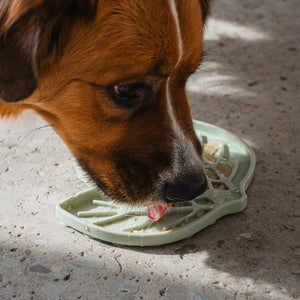 Dexypaws Tapis de léchage stimulant - Forme de feuille - Vert sauge