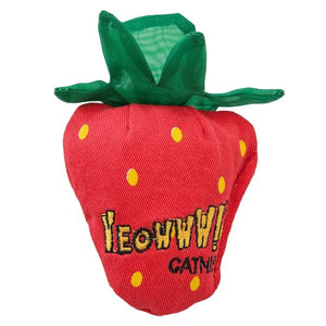 Ducky World Jouet d'herbe à chat YEOWWW! - Fraise rouge