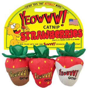 Ducky World Jouet d'herbe à chat YEOWWW! - Trio de fraises