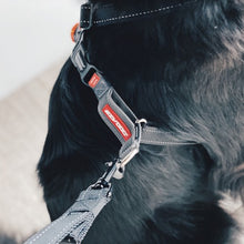 Charger l&#39;image dans la galerie, Ezydog Harnais &quot;Crosscheck&quot;, Noir
