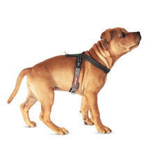 Charger l&#39;image dans la galerie, Ezydog Harnais &quot;Crosscheck&quot;, Noir

