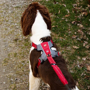 Ezydog Harnais "X-Link", Rouge