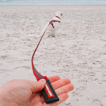 Charger l&#39;image dans la galerie, Ezydog Laisse Track&#39;n&#39;train, Noire
