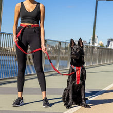 Charger l&#39;image dans la galerie, Ezydog Laisse de coureur, Noire
