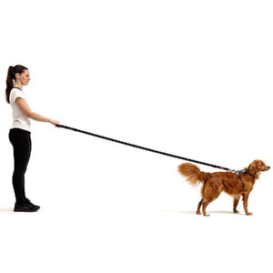 Ezydog Laisse multifonctions Vario 6 Snap Clip, Rouge