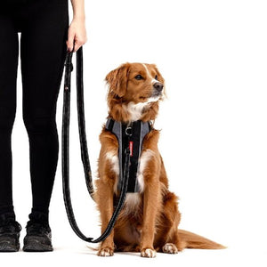 Ezydog Laisse multifonctions Vario 6 Snap Clip, Rouge