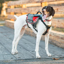 Charger l&#39;image dans la galerie, Ezydog Sac à dos Summit, Rouge et gris
