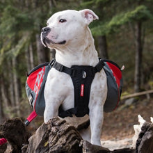Charger l&#39;image dans la galerie, Ezydog Sac à dos Summit, Rouge et gris
