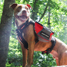 Charger l&#39;image dans la galerie, Ezydog Sac à dos Summit, Rouge et gris
