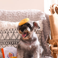 Load image into Gallery viewer, Hugsmart Jouet en peluche pour chien - Cache-cache - Rondelles d'oignon
