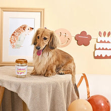 Load image into Gallery viewer, Hugsmart "Yappy Birthday" Jouet en caoutchouc &amp; tissu craquant pour chien - Café d'anniversaire - Brun
