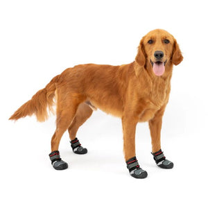Kurgo Botte pour chien "Blaze" ensemble de 2, Gris et noir