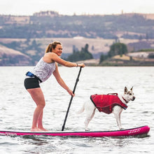 Charger l&#39;image dans la galerie, Kurgo Veste de sauvetage Surf&#39;n&#39;turf pour chien, Jaune
