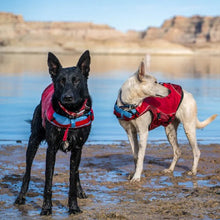 Charger l&#39;image dans la galerie, Kurgo Veste de sauvetage Surf&#39;n&#39;turf pour chien, Jaune
