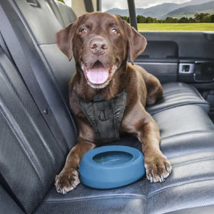 Kurgo Bol à eau en silicone pour voiture anti éclaboussures Wander, Bleu