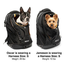 Charger l&#39;image dans la galerie, Kurgo Sac à Dos G-train, porte-chien, jusqu&#39;à 25lbs
