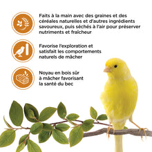 Load image into Gallery viewer, Living World Gâteries pour serins - Bâtonnets au miel - Paquet de 2 - 65 gr
