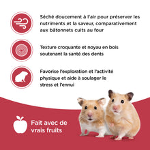 Charger l'image dans la galerie, Living World gâteries pour hamster - Bâtonnets aux fruits - paquet de 2 - 90 gr

