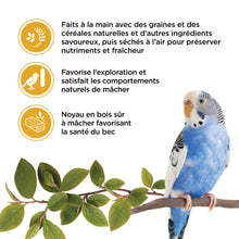 Load image into Gallery viewer, Living World Gâteries pour perruches - Bâtonnets aux oeufs - Paquet de 2 - 80 gr
