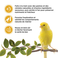 Load image into Gallery viewer, Living World Gâteries pour serins - Bâtonnets aux oeufs - Paquet de 2 - 50 gr (Copie)
