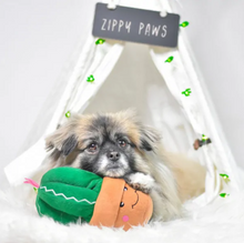 Charger l&#39;image dans la galerie, Jouet pour chien peluche Zippy Paws, Carmen le cactus
