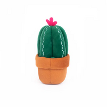 Charger l&#39;image dans la galerie, Jouet pour chien peluche Zippy Paws, Carmen le cactus
