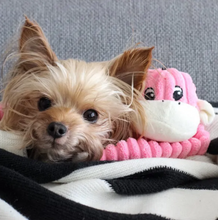 Load image into Gallery viewer, Jouet pour chien peluche Zippy Paws - Singe petit
