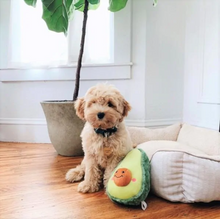 Charger l'image dans la galerie, Jouet pour chien en peluche Zippy Paws - Avocado
