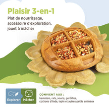 Load image into Gallery viewer, Living World Accessoire de nourrissage comestible - Tournesol - Orange - 160 gr (5,6 oz)

